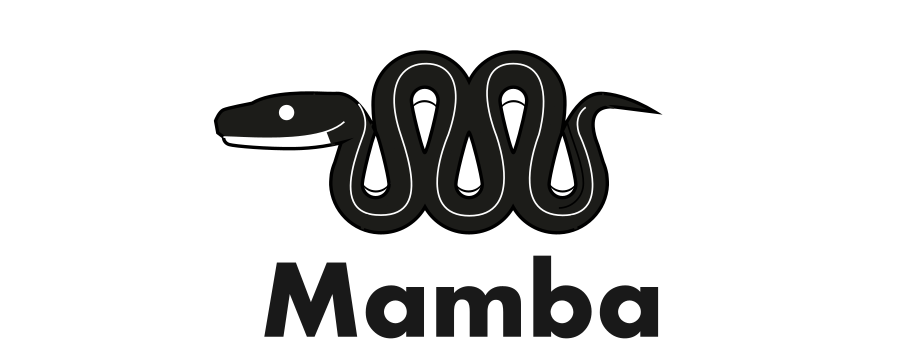 Mamba: a robust alternative to Anaconda package manager